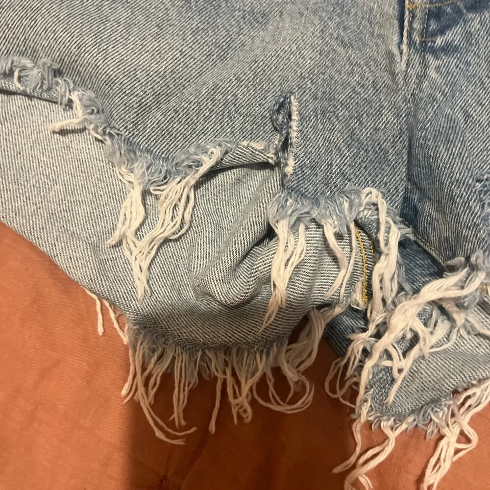 Agolde Parker Denim Jean Shorts